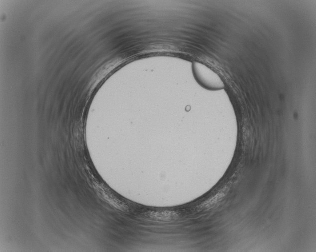 X0000062871129200602101645