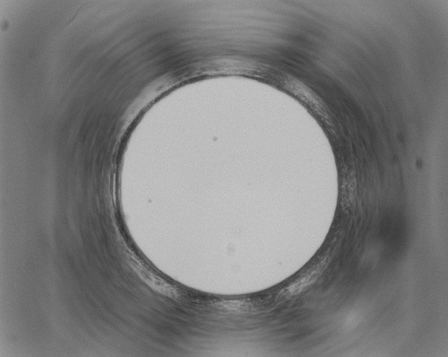 X0000062871130200602101645