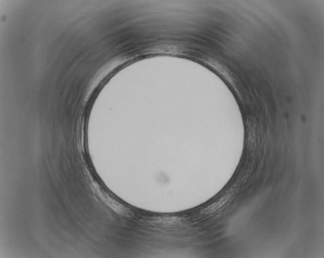 X0000062871131200602101645