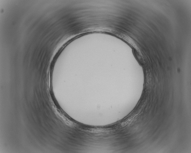 X0000062871132200602101645