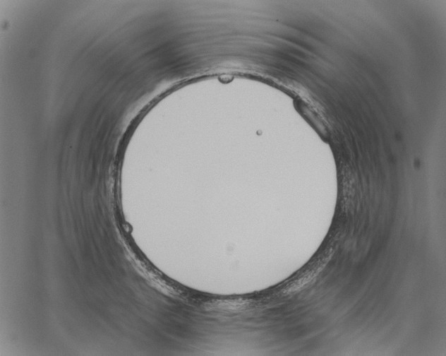 X0000062871134200602101645