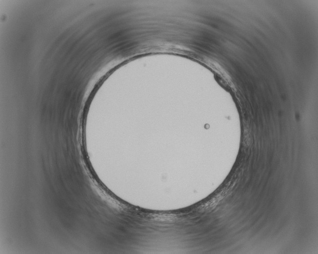 X0000062871136200602101645