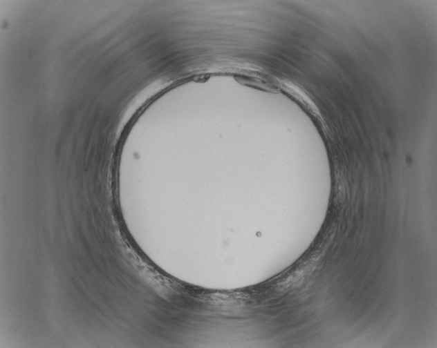 X0000062871138200602101645