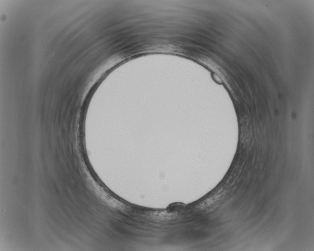 X0000062871139200602101645