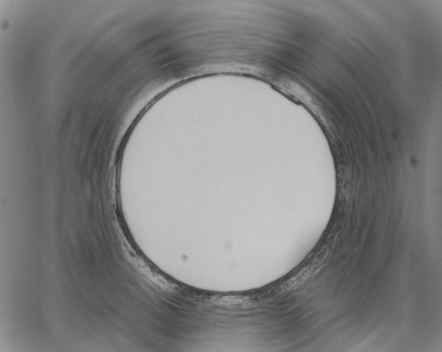 X0000062871140200602101645