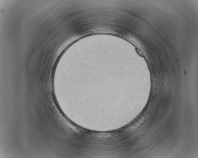 X0000062871141200602101645