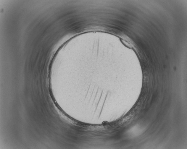 X0000062871143200602101645