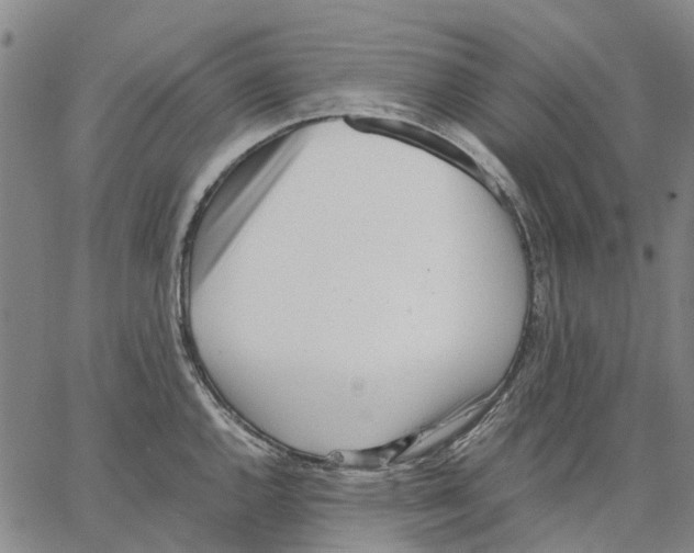 X0000062871144200602101645