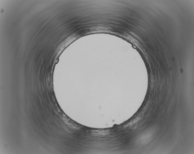 X0000062871145200602101645