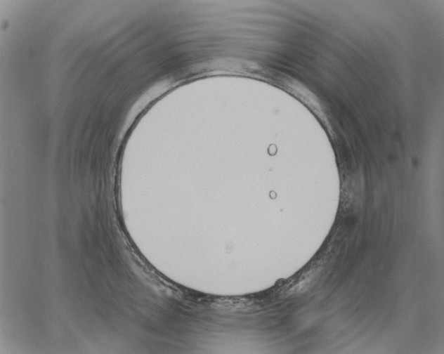 X0000062871146200602101645