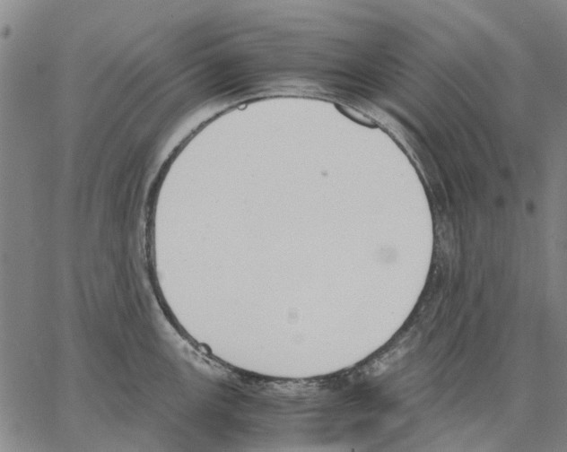 X0000062871147200602101645