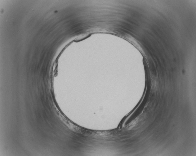 X0000062871148200602101645