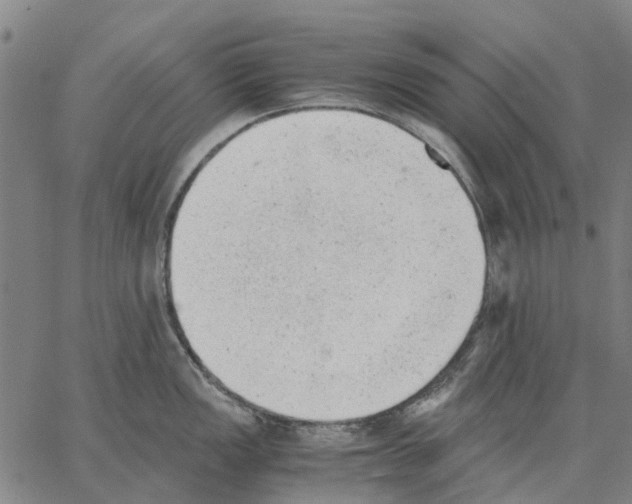 X0000062871149200602101645