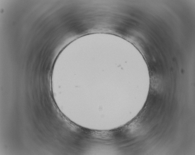 X0000062871150200602101645