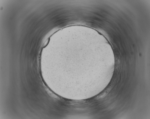 X0000062871151200602101645