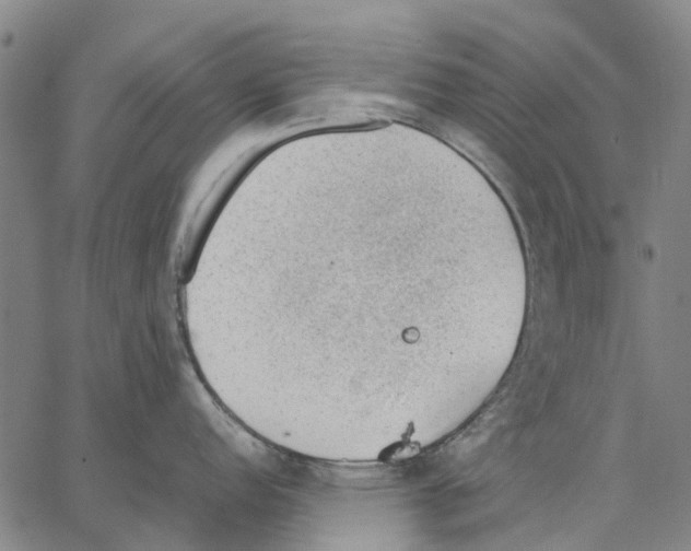 X0000062871152200602101645