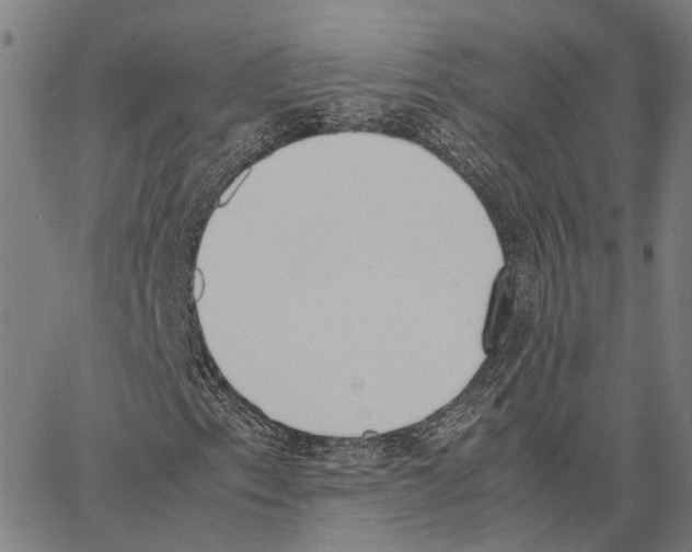 X0000062871153200602101644