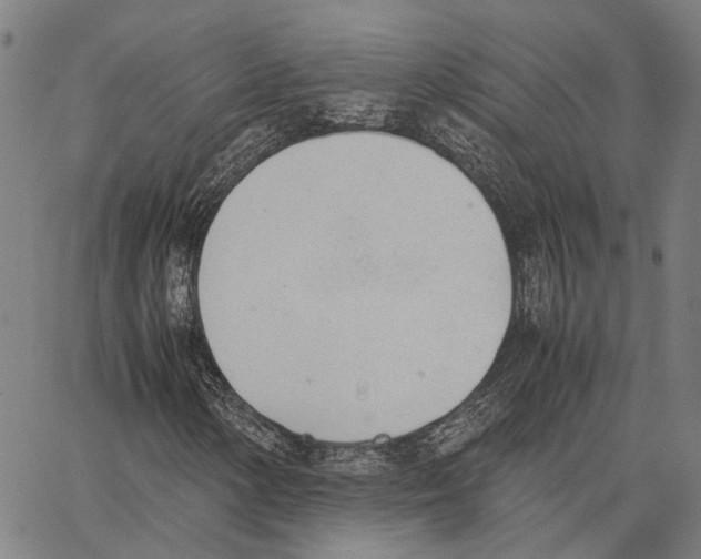 X0000062871154200602101644