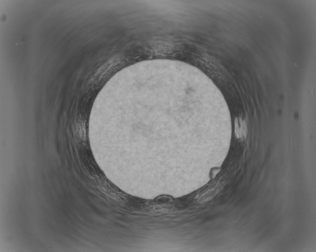 X0000062871155200602101644