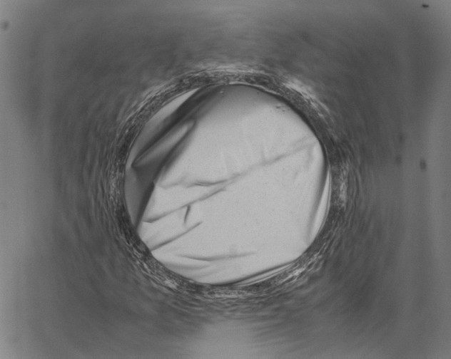 X0000062871157200602101644