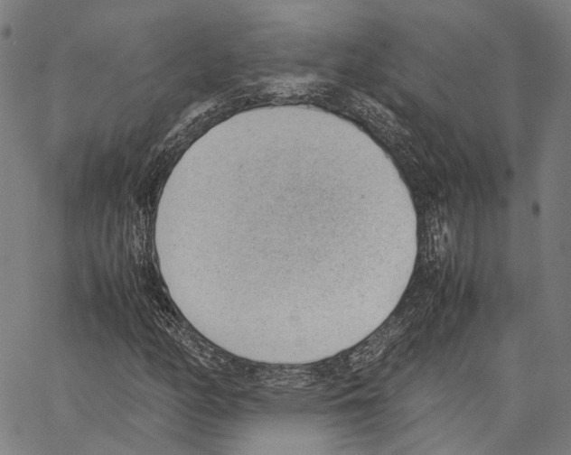 X0000062871158200602101644