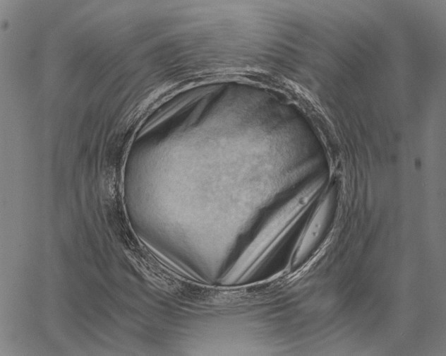 X0000062871161200602101644