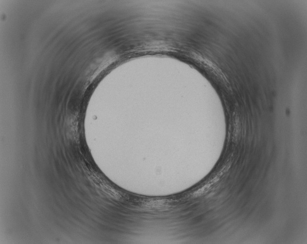 X0000062871162200602101644