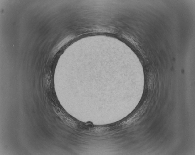 X0000062871163200602101644