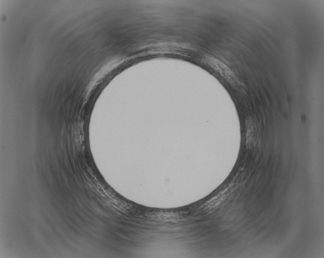 X0000062871164200602101644