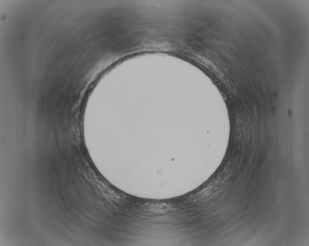 X0000062871168200602101644