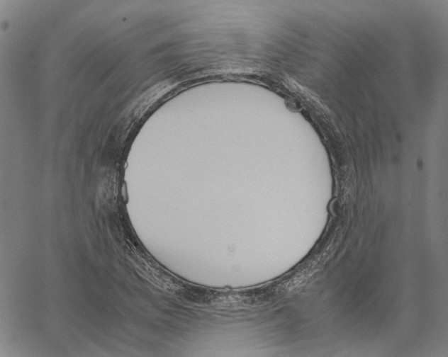 X0000062871169200602101644