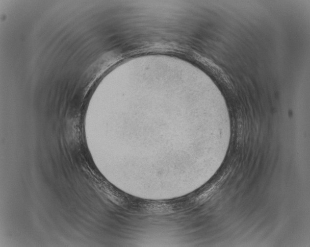 X0000062871170200602101644