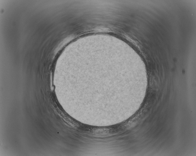 X0000062871171200602101644