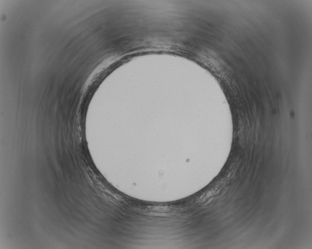 X0000062871172200602101644