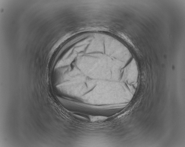 X0000062871173200602101644