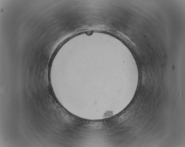 X0000062871174200602101644