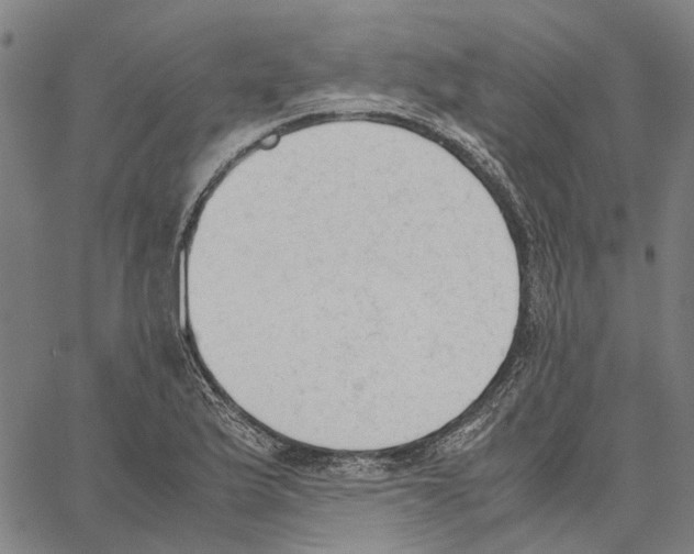 X0000062871175200602101644