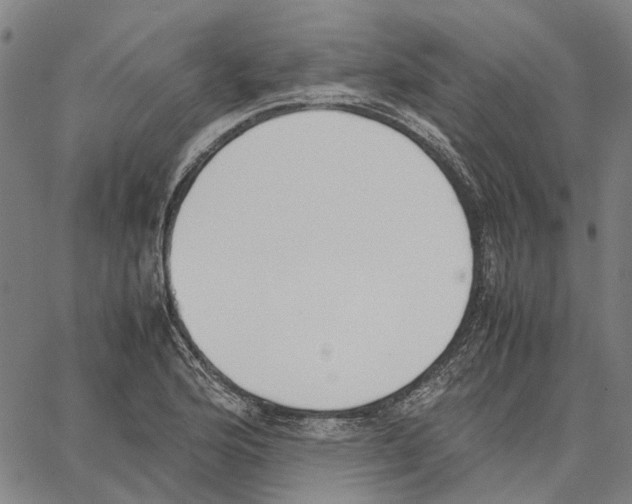 X0000062871176200602101644