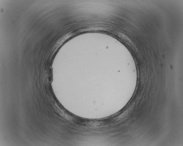 X0000062871177200602101644