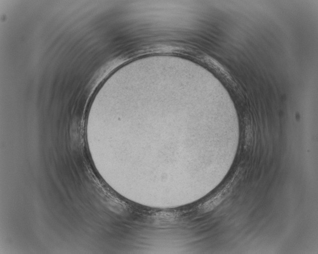 X0000062871178200602101644