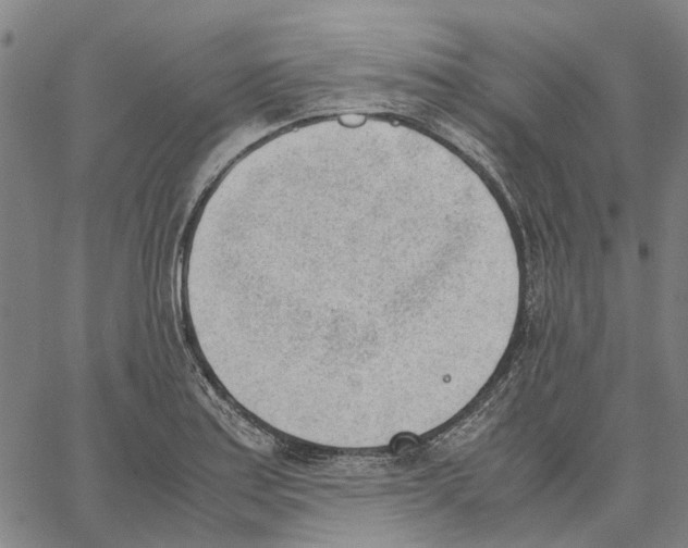 X0000062871179200602101644