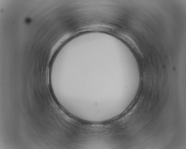 X0000062871180200602101644