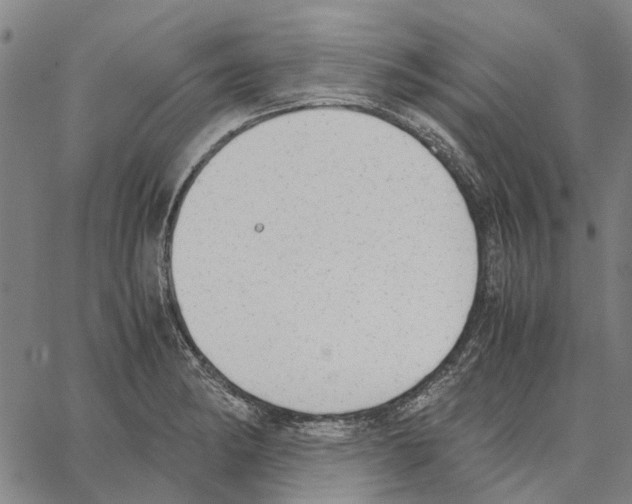 X0000062871182200602101644