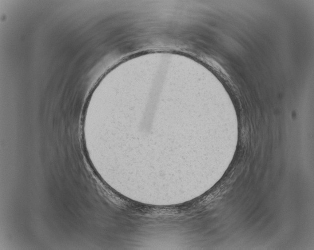 X0000062871183200602101644