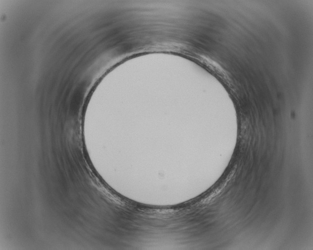 X0000062871184200602101644