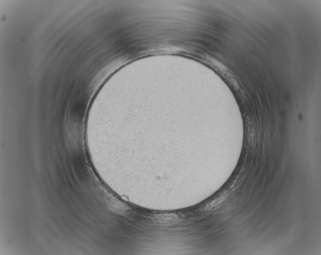 X0000062871186200602101644