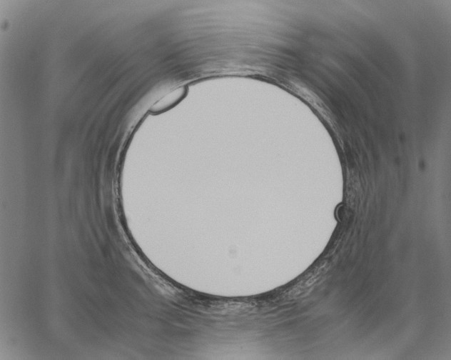 X0000062871187200602101644