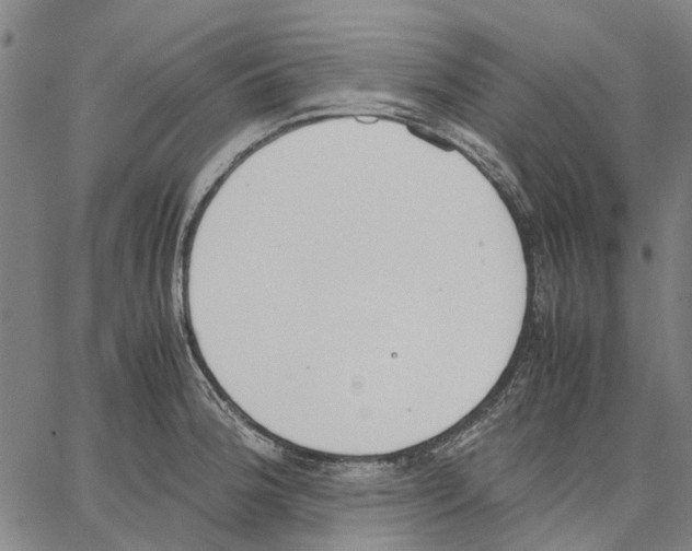 X0000062871188200602101644