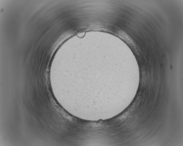 X0000062871190200602101644