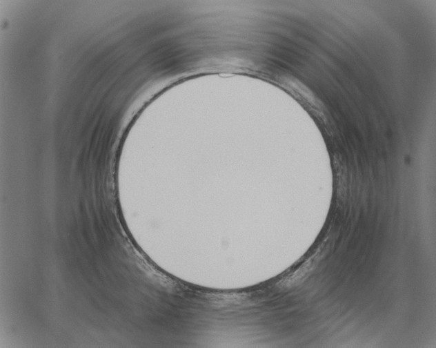 X0000062871192200602101644